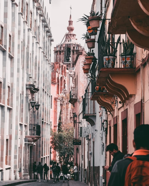 Exploring Mexican Cuisine: A Culinary Journey